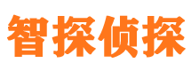 裕安市私家侦探